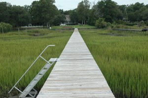 chemical mildew removal and dock cleaning